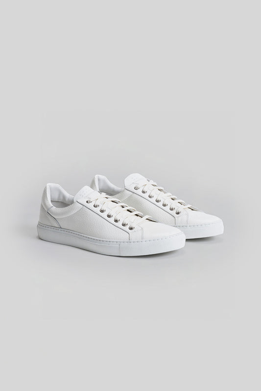 The Terrance Sneaker | Robert Barakett Best Seller